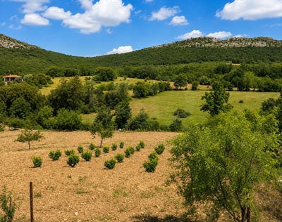 /international/es/poligono-rustica-portimao-castile-la-mancha-310110024294/