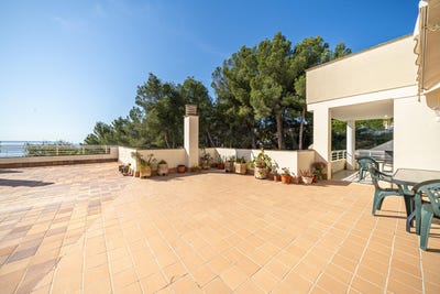 /international/es/calvia-balearic-islands-310107736489/