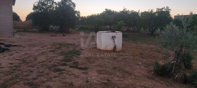 /international/es/el-garrochal-canada-rosal-andalusia-310109042970/