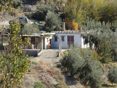 /international/es/valor-andalusia-120089361193/