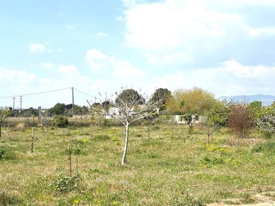 /international/es/poligono-santa-oliva-catalonia-310106740803/