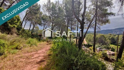 /international/es/cervello-catalonia-310105743349/
