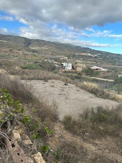 /international/es/san-miguel-de-abona-canary-islands-310103138559/