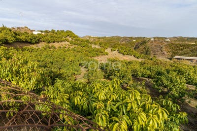 /international/es/arroyo-moneda-malaga-andalusia-120077567867/