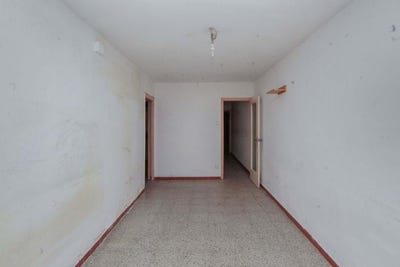 /international/es/badalona-catalonia-310100288352/