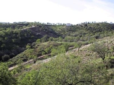 /international/es/monda-andalusia-310100239020/