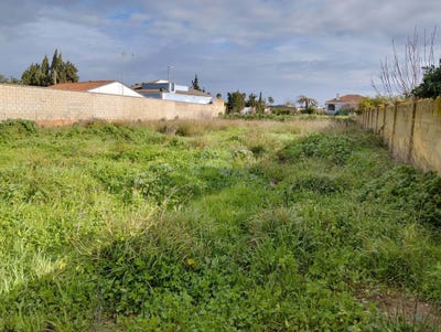 /international/es/camino-de-cabeza-de-la-vaca-sanlucar-de-barrameda-andalusia-310105894582/