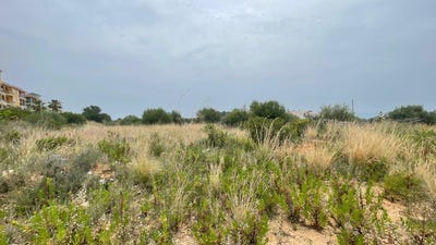 /international/es/peniscola-valencian-community-310100555948/