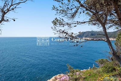 /international/es/tamariu-catalonia-310100931230/