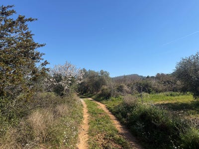 /international/es/can-abad-y-can-sunyol-poligono-1-castellvi-de-rosanes-catalonia-310108003046/
