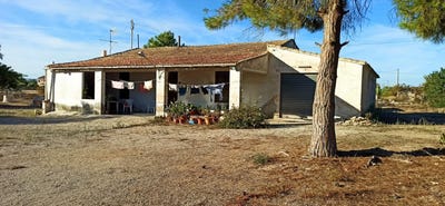 /international/es/elche-valencian-community-310100993647/?lang=zh-tw