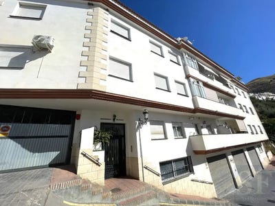 /international/es/competa-andalusia-310108213685/
