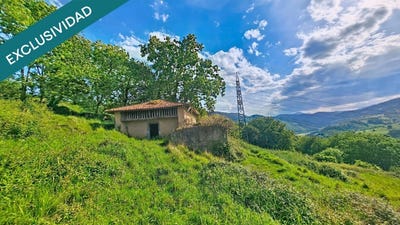 /international/es/grado-asturias-310120471922/