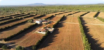 /international/es/camarles-catalonia-310104246480/