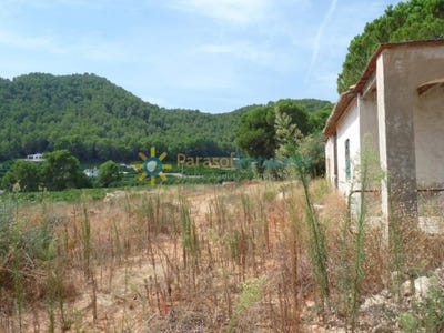 /international/es/el-real-de-gandia-valencian-community-310108894242/