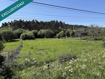 /international/es/naron-galicia-310101277414/