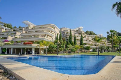 /international/es/pedreguer-valencian-community-310107888800/