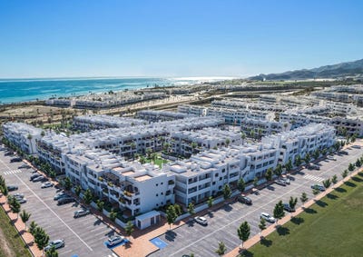 /international/es/pulpi-andalusia-310108865314/