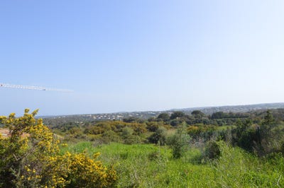 /international/es/sotograndecadiz-andalusia-310107578592/
