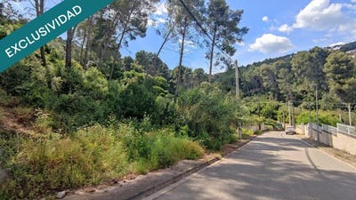 /international/es/cervello-catalonia-310101280847/?lang=zh-tw