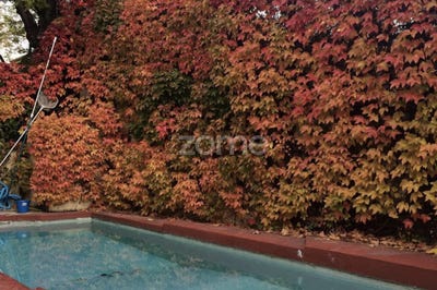 /international/es/daniel-zuloaga-madrid-madrid-120089893680/