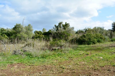 /international/es/carrer-major-capdepera-balearic-islands-310100904633/?lang=zh-tw