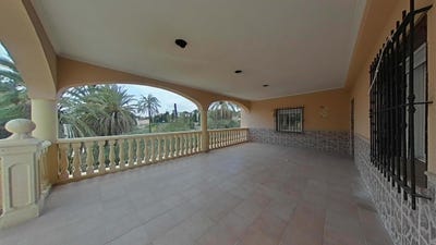/international/es/elche-elx-valencian-community-310101172506/