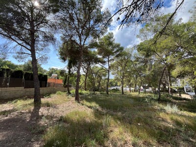 /international/es/5-via-caleta-calvia-balearic-islands-310102848316/