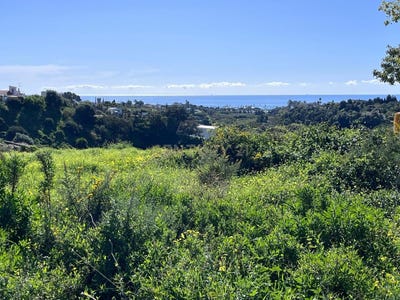 /international/es/estepona-andalusia-310106625554/