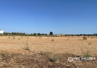 /international/es/8-diseminado-poligono-3-santa-maria-del-cami-balearic-islands-310120046874/