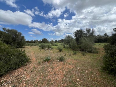 /international/es/sencelles-balearic-islands-310103153352/