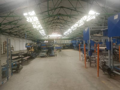 /international/es/san-cristobal-palma-de-gandia-valencian-community-310108950504/