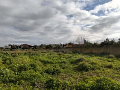 /international/es/camino-de-cabeza-de-la-vaca-sanlucar-de-barrameda-andalusia-310105894582/