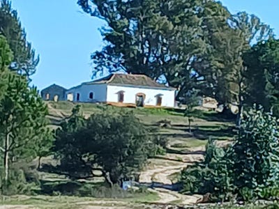 /international/es/almonte-andalusia-310108895676/