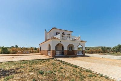 /international/es/niebla-andalusia-310105370857/