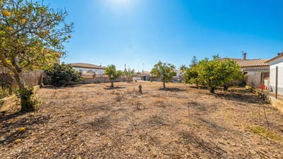 /international/es/camino-huerta-el-aguila-chiclana-de-la-frontera-andalusia-310105892004/