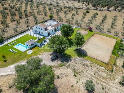/international/es/espartinas-andalusia-310100643016/