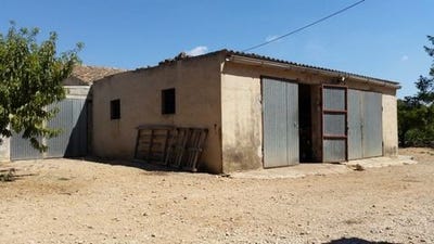 /international/es/benifallet-catalonia-310099949393/?lang=zh-tw
