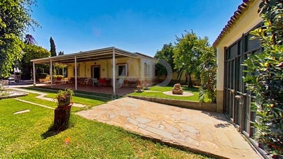 /international/es/ur-casquero-d-dos-hermanas-andalusia-310108726910/