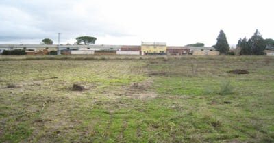 /international/es/villamiel-de-toledo-castile-la-mancha-310101273052/?lang=zh-cn