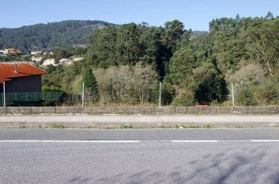 /international/es/moana-galicia-310108162507/