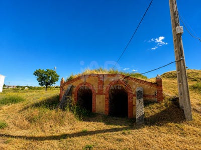 /international/es/camino-de-cembranos-chozas-de-abajo-castile-and-leon-310108728476/