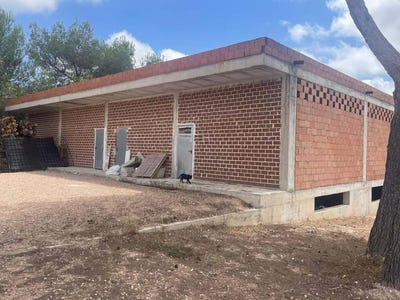 /international/es/pilar-de-la-horadada-valencian-community-310102112246/