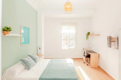 /international/es/carrer-cadis-valencia-valencian-community-310093833737/