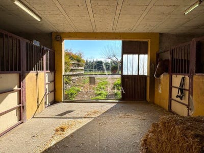 /international/es/ter-celra-catalonia-310105890459/