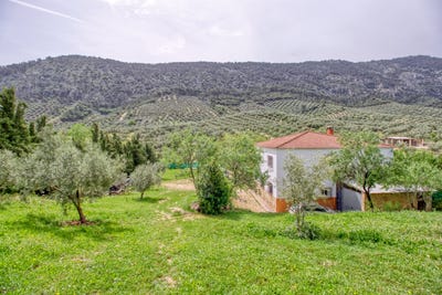 /international/es/rute-andalusia-310108292529/