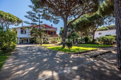 /international/es/mazagon-andalusia-310100639766/