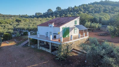 /international/es/freginals-catalonia-310109096971/
