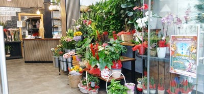 /international/es/calle-san-andres-velez-malaga-andalusia-310107640483/