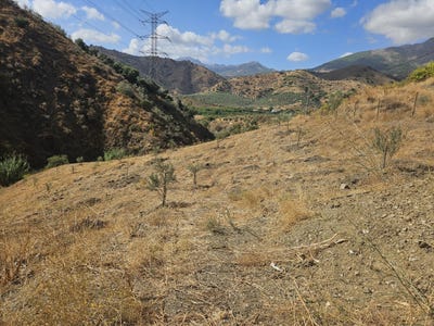 /international/es/casarabonela-andalusia-310106626564/